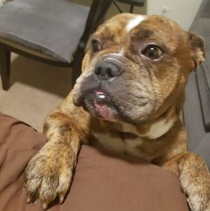 Meet your Posher, Aretha